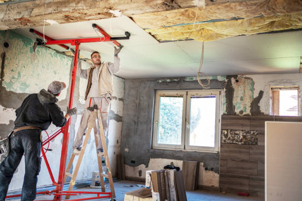 Best Insulation Replacement Services  in Fredericksburg, IA