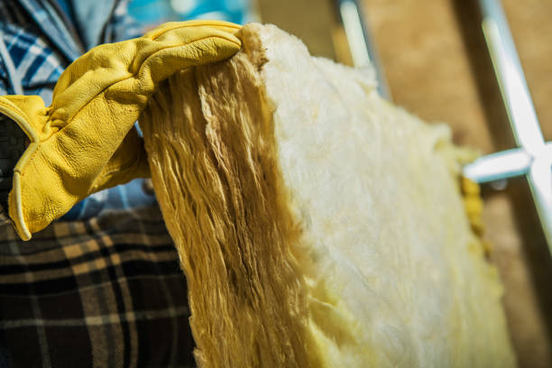 Best Insulation Removal  in Fredericksburg, IA