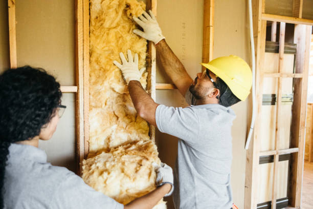 Best Insulation Contractors for Homes  in Fredericksburg, IA