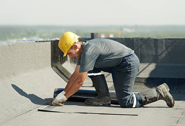 Best Cellulose Insulation  in Fredericksburg, IA