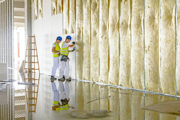 Best Insulation for New Construction  in Fredericksburg, IA